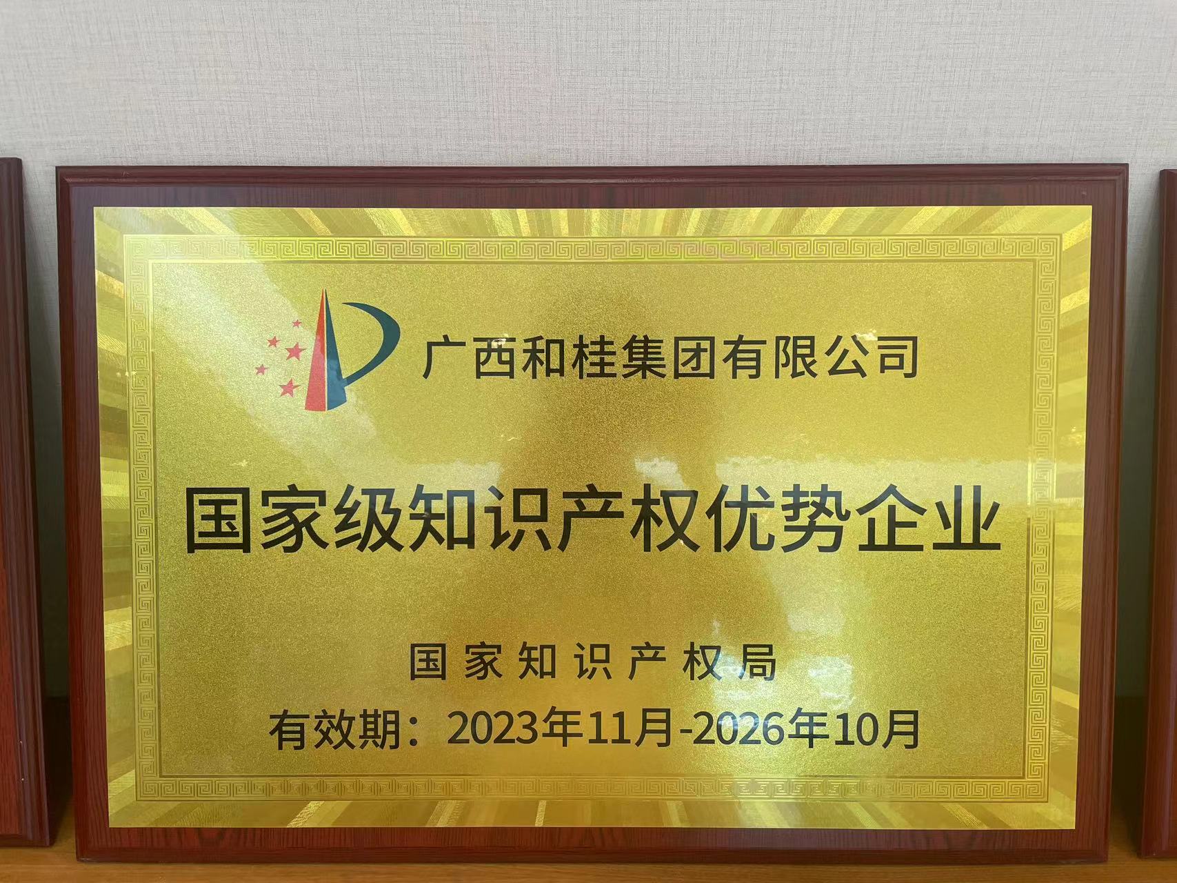 國家級(jí)知識(shí)產(chǎn)權(quán)優(yōu)勢(shì)企業(yè)